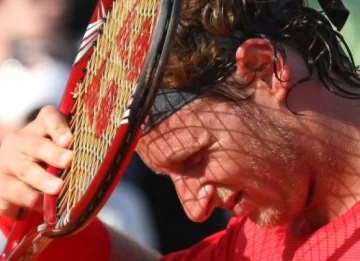 La mufa de Nalbandian La mufa de Nalbandian