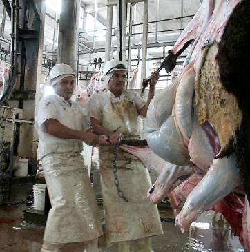 Matadero pierde $190 mil al mes Matadero pierde $190 mil al mes