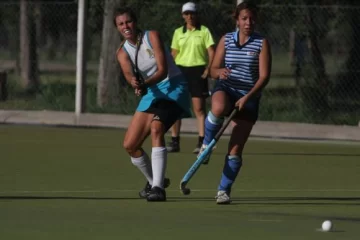 Universidad es puntero Universidad es puntero