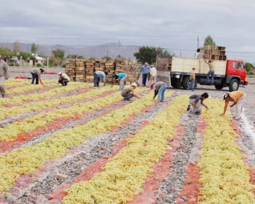 En San Juan, al menos 8 producciones en juego En San Juan, al menos 8 producciones en juego