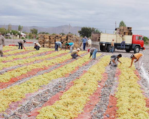 En San Juan, al menos 8 producciones en juego En San Juan, al menos 8 producciones en juego