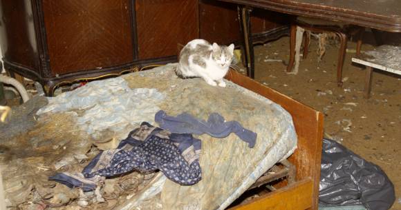 Ex directora: la internarán en un geriátrico privado Ex directora: la internarán en un geriátrico privado