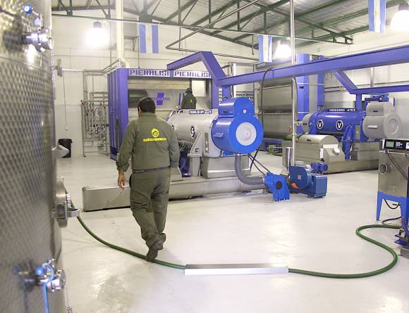 En 12 años la producción de aceite de oliva subió 850% En 12 años la producción de aceite de oliva subió 850%