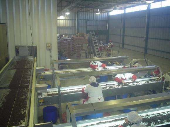 Pese al escenario complejo los paseros no arrugan inversiones Pese al escenario complejo los paseros no arrugan inversiones