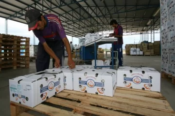 El “Programa Valorar” capacitará en San Juan El “Programa Valorar” capacitará en San Juan