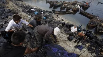 Recogen el petróleo hasta con las manos Recogen el petróleo hasta con las manos