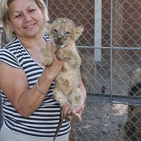 Día del Niño: dicen que otra vez no se hará el chocolatazo Día del Niño: dicen que otra vez no se hará el chocolatazo