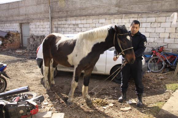 Roba y cae con el botín Roba y cae con el botín