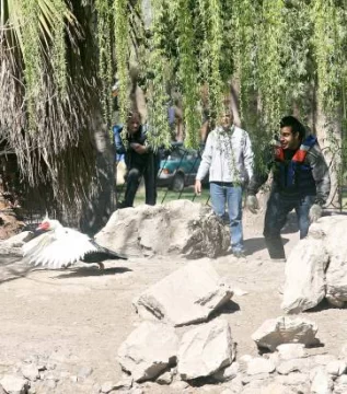 Lago del Parque: un operativo para sacar animales y limpiarlo Lago del Parque: un operativo para sacar animales y limpiarlo