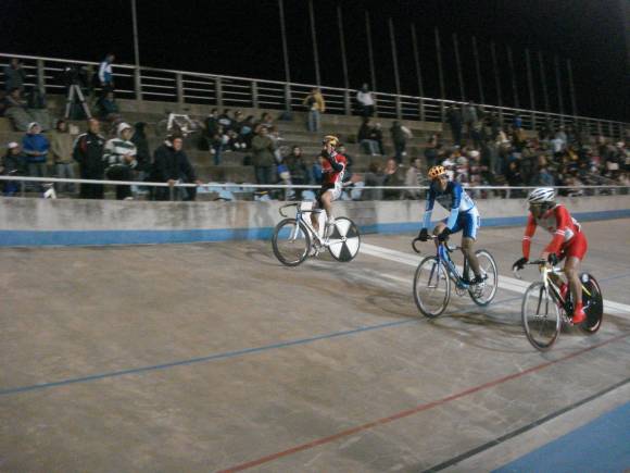 Polillita casi pica Polillita casi pica