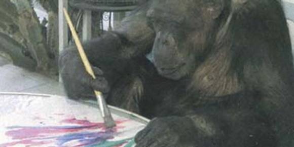 Deslumbra el mono pintor Deslumbra el mono pintor