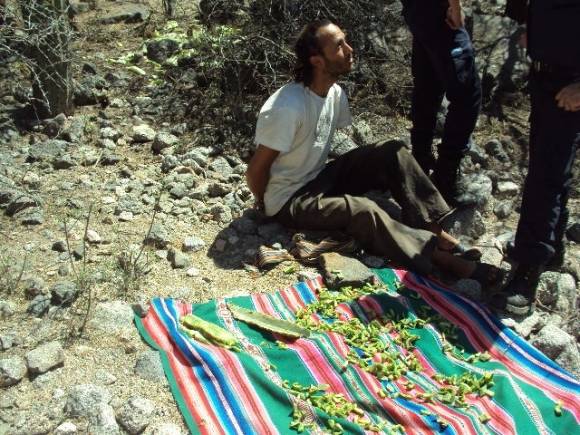 Cae un odontólogo por dañar el cacto errado Cae un odontólogo por dañar el cacto errado
