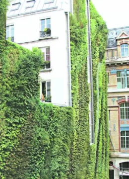 Vertical verde Vertical verde