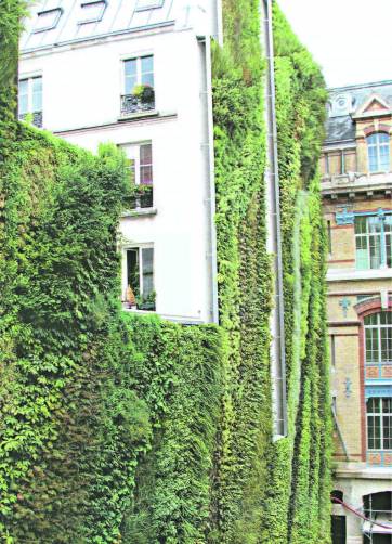 Vertical verde Vertical verde