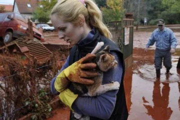 Inundados de tóxicos Inundados de tóxicos