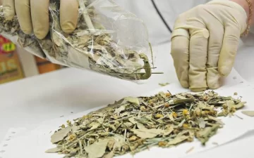 Un té de yuyos dejó a una bebé al borde de la muerte Un té de yuyos dejó a una bebé al borde de la muerte