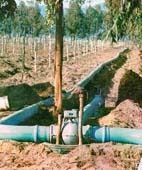 Para mejor uso del agua: la aplicación del riego por pulsos Para mejor uso del agua: la aplicación del riego por pulsos