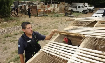 Riña de gallos: caen 22 personas en Santa Lucía Riña de gallos: caen 22 personas en Santa Lucía