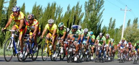 Quintina de los Piqueteros Quintina de los Piqueteros