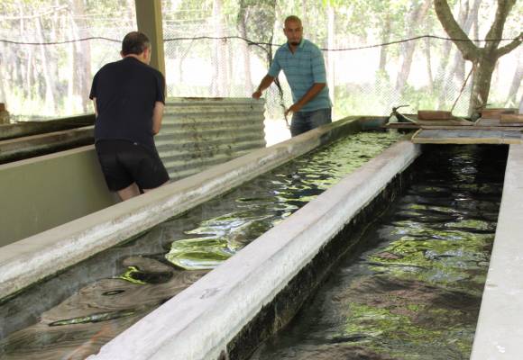 Desde hoy vuelven a sembrar peces en el Parque de Mayo Desde hoy vuelven a sembrar peces en el Parque de Mayo