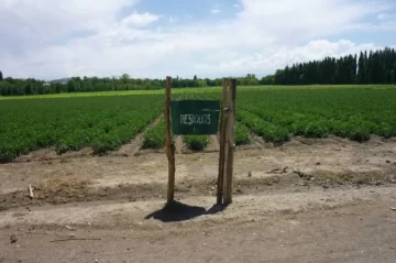 Ejemplo de organización Ejemplo de organización