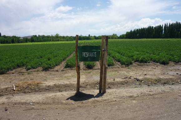 Ejemplo de organización Ejemplo de organización