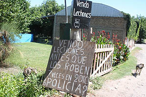 Perdió 39 cerdos en un año y no sabe cómo parar los robos Perdió 39 cerdos en un año y no sabe cómo parar los robos