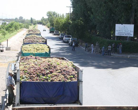 Dicen que el “piso” de las “mosteras” es $0,85 Dicen que el “piso” de las “mosteras” es $0,85