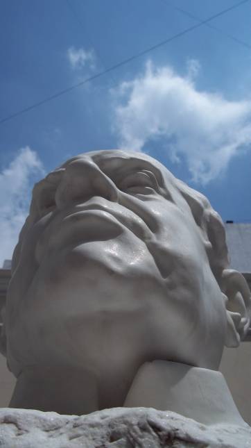 Desde un workshop científico hasta un zoológico Desde un workshop científico hasta un zoológico