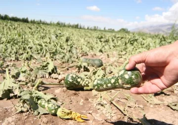 La piedra no da tregua La piedra no da tregua