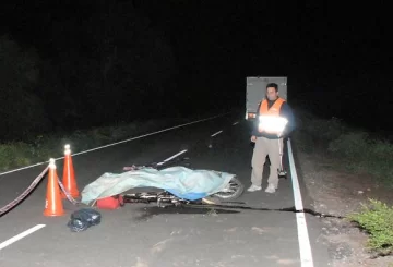 Chocó a un animal y falleció Chocó a un animal y falleció