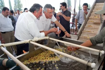 San Juan cuenta con otra planta procesadora de pistachos San Juan cuenta con otra planta procesadora de pistachos