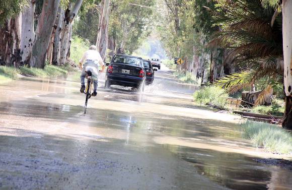 Negativo: 50 evacuados y festivales suspendidos por la lluvia Negativo: 50 evacuados y festivales suspendidos por la lluvia