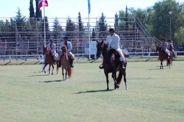 Larga el concurso de los caballos peruanos Larga el concurso de los caballos peruanos