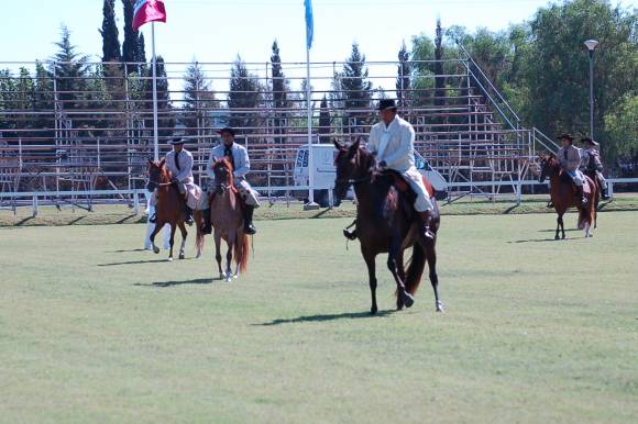 Larga el concurso de los caballos peruanos Larga el concurso de los caballos peruanos