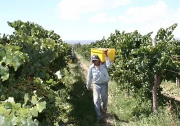 Chacras: Otra vez siembran menos por falta de agua Chacras: Otra vez siembran menos por falta de agua