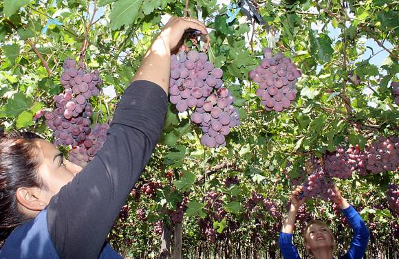 ¿Mejor precio compensa la caída de volúmenes? ¿Mejor precio compensa la caída de volúmenes?