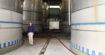 Chile termina exportando mosto que hace San Juan Chile termina exportando mosto que hace San Juan