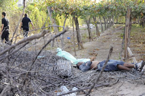 Furia vecinal por un chico electrocutado en una finca Furia vecinal por un chico electrocutado en una finca