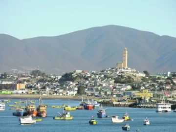 Quieren formar un grupo binacional de proveedores Quieren formar un grupo binacional de proveedores