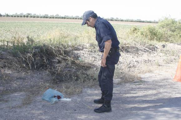 Hallan un feto en una bolsa Hallan un feto en una bolsa