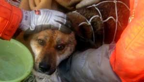 Conmovedor reencuentro Conmovedor reencuentro