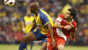 Perdió el Bicho Perdió el Bicho