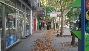 Todo cerrado y muchas hojas en este feriado de viernes Santo Todo cerrado y muchas hojas en este feriado de viernes Santo