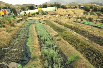 1- ¿La minería le quita agua al agro? 1- ¿La minería le quita agua al agro?