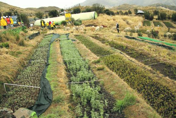 1- ¿La minería le quita agua al agro? 1- ¿La minería le quita agua al agro?