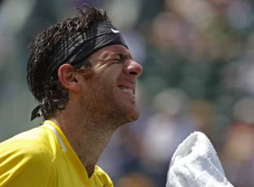 Del Potro, más lejos de Roland Garros Del Potro, más lejos de Roland Garros