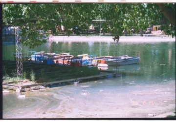 Harán kayak en el lago del Parque y podrían regresar los botes a pedal Harán kayak en el lago del Parque y podrían regresar los botes a pedal