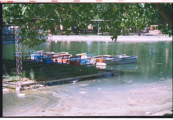 Harán kayak en el lago del Parque y podrían regresar los botes a pedal Harán kayak en el lago del Parque y podrían regresar los botes a pedal
