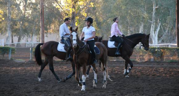 Edición histórica Edición histórica